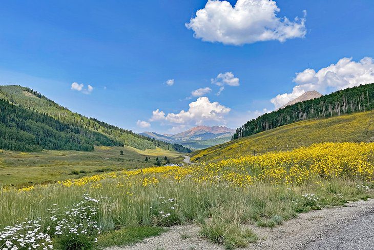 13 Best Campgrounds in Crested Butte, CO