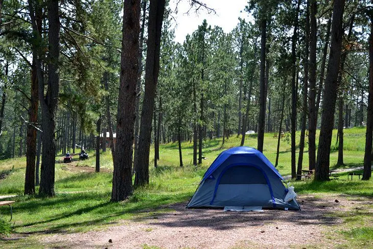 13 Best Campgrounds near Mount Rushmore, SD