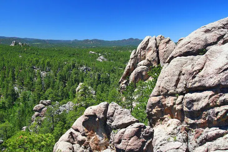 13 Best Campgrounds near Mount Rushmore, SD