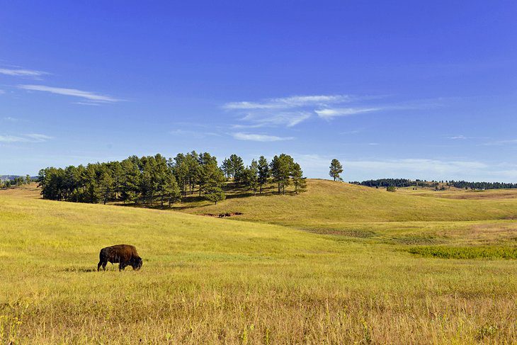 13 Best Campgrounds near Mount Rushmore, SD