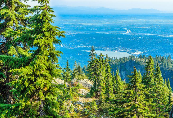 13 Best Campgrounds near Vancouver, BC