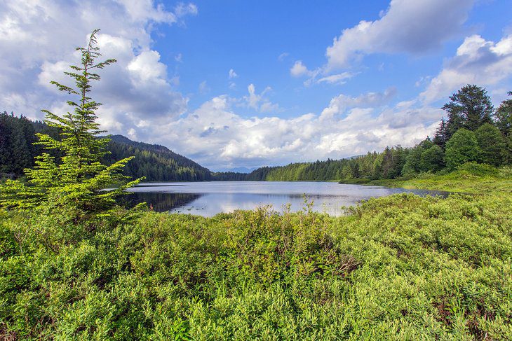 13 Best Campgrounds near Vancouver, BC