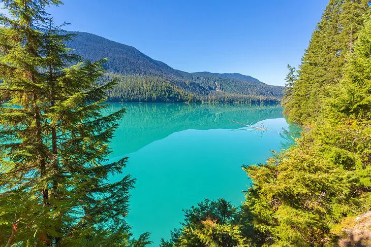 13 Best Hikes near Whistler, B.C.