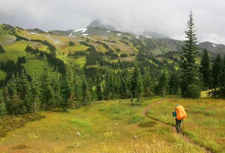 13 Best Hikes near Whistler, B.C.