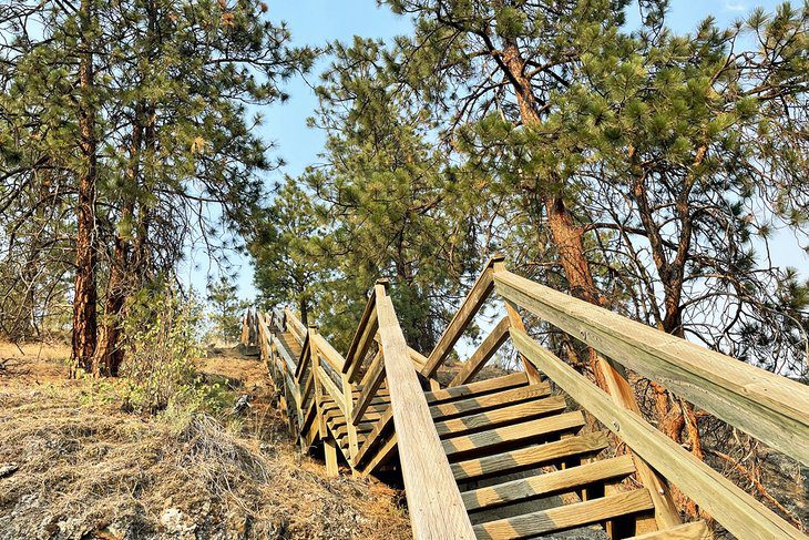 13 Best Hiking Trails in Kelowna, BC