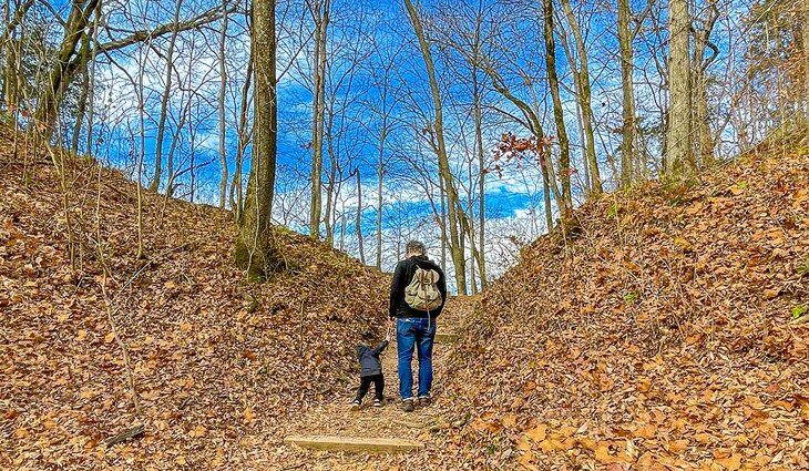 13 Best Hiking Trails near Nashville, TN