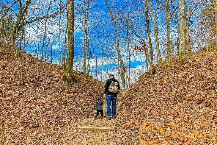 13 Best Hiking Trails near Nashville, TN