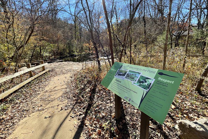 13 Best Hiking Trails near Nashville, TN