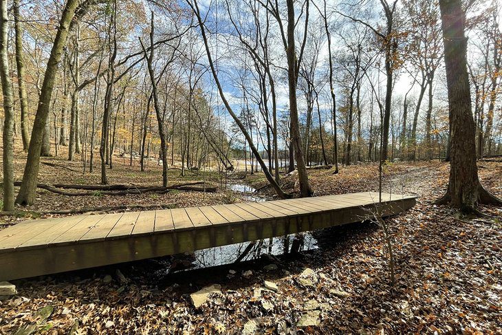 13 Best Hiking Trails near Nashville, TN