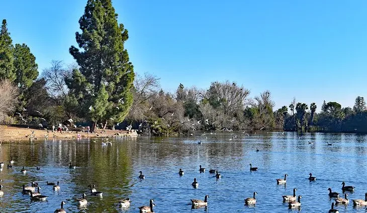 13 Best Parks in Fresno, CA