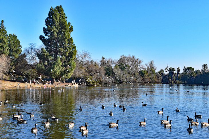 13 Best Parks in Fresno, CA