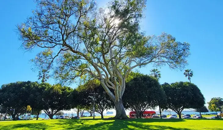 13 Best Parks in Long Beach, CA