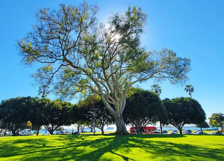 13 Best Parks in Long Beach, CA