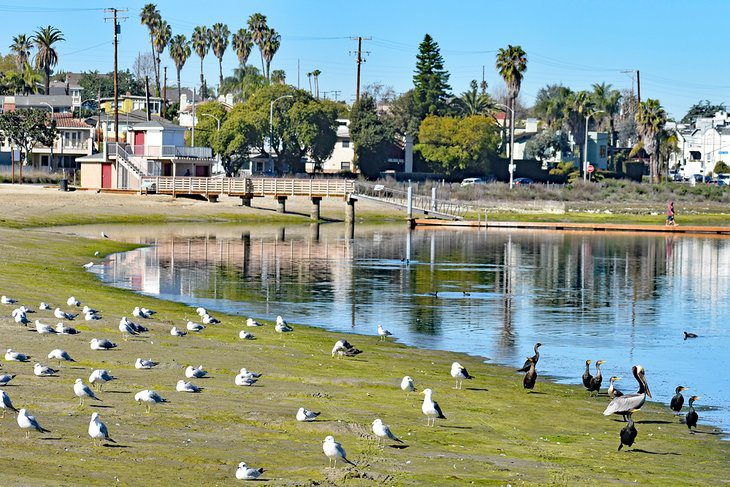 13 Best Parks in Long Beach, CA