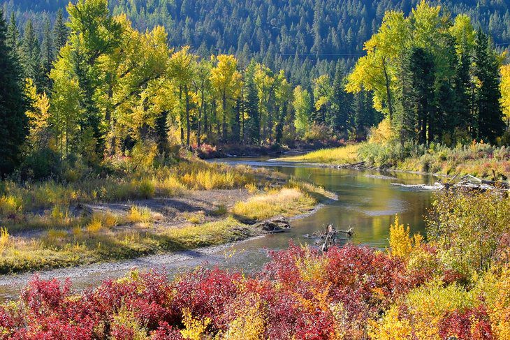 13 Best Places for Fly Fishing in Montana