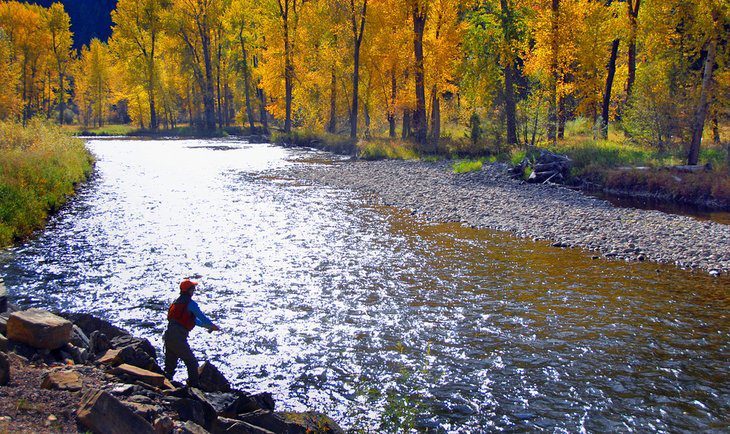 13 Best Places for Fly Fishing in Montana