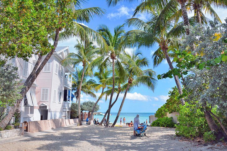 13 Dog-Friendly Beaches in Florida