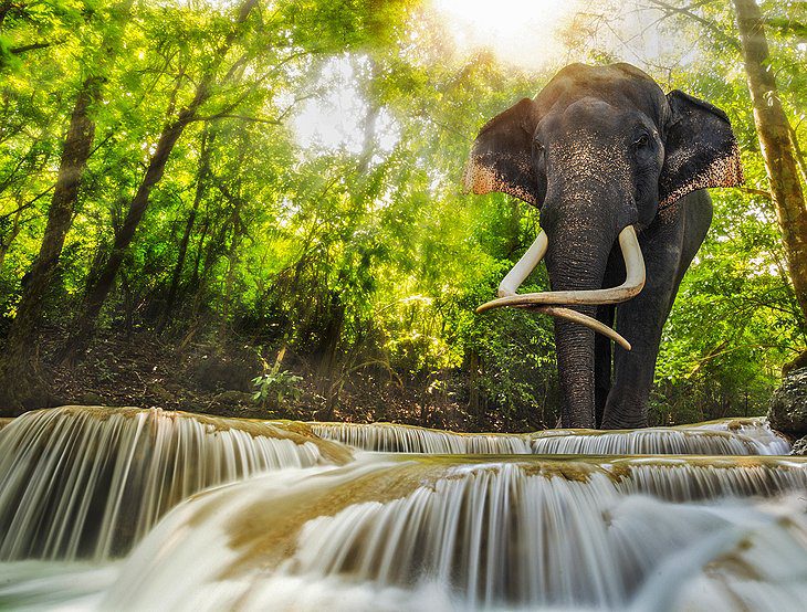 13 Top-Rated Attractions & Things to Do in Kanchanaburi