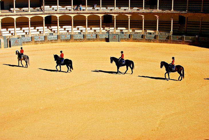 13 Top-Rated Attractions & Things to Do in Ronda