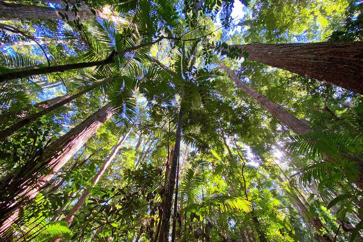 13 Top-Rated Attractions & Things to Do on Fraser Island (KGari)