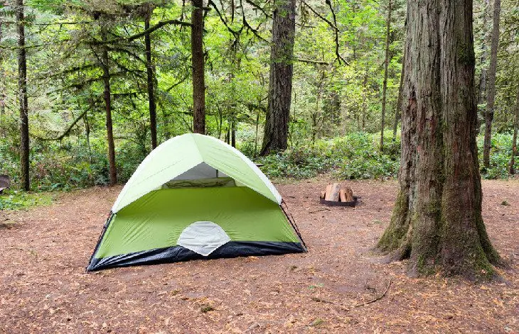 13 Top-Rated Campgrounds near Portland, Oregon