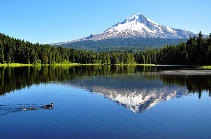 13 Top-Rated Campgrounds near Portland, Oregon