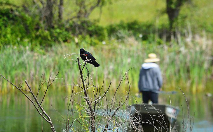 13 Top-Rated Campgrounds near Sacramento, CA