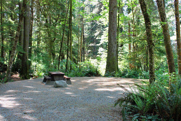 13 Top-Rated Campgrounds on Vancouver Island, BC