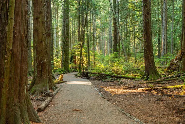 13 Top-Rated Hikes near Vancouver, BC