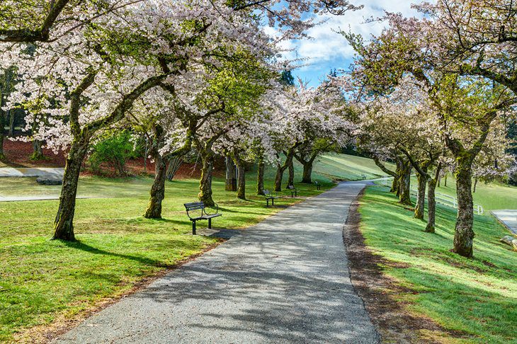 13 Top-Rated Hikes near Vancouver, BC