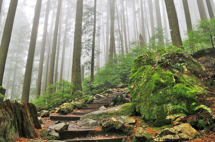 13 Top-Rated Hikes near Vancouver, BC