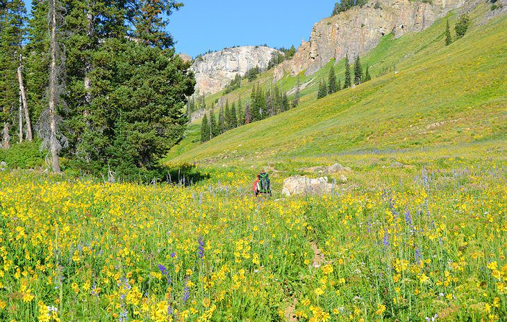 13 Top-Rated Hiking Trails in Grand Teton National Park, WY