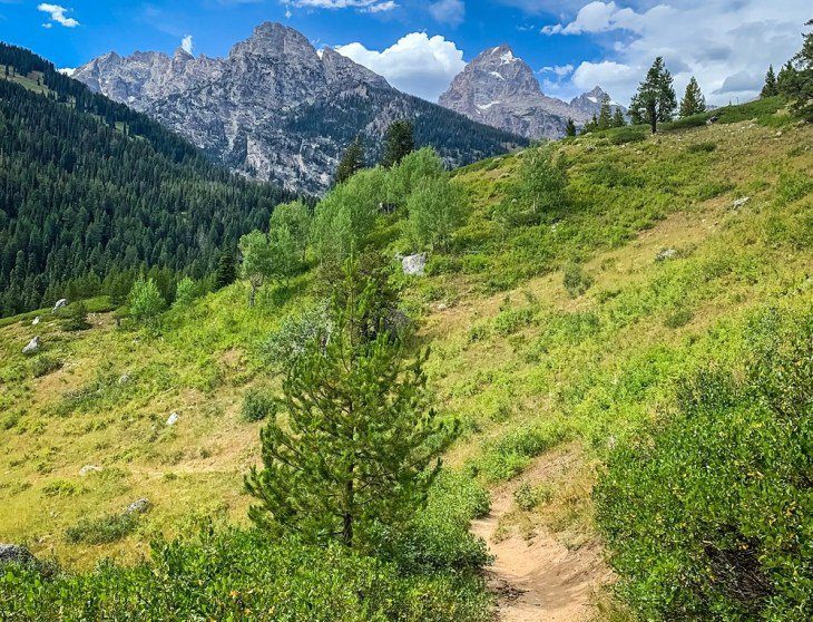 13 Top-Rated Hiking Trails in Grand Teton National Park, WY