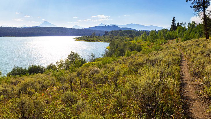 13 Top-Rated Hiking Trails in Grand Teton National Park, WY