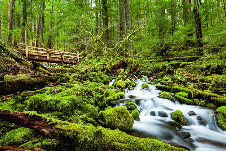 13 Top-Rated Hiking Trails in Washington State