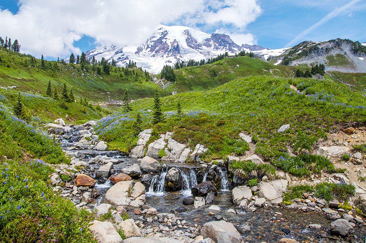 13 Top-Rated Hiking Trails in Washington State