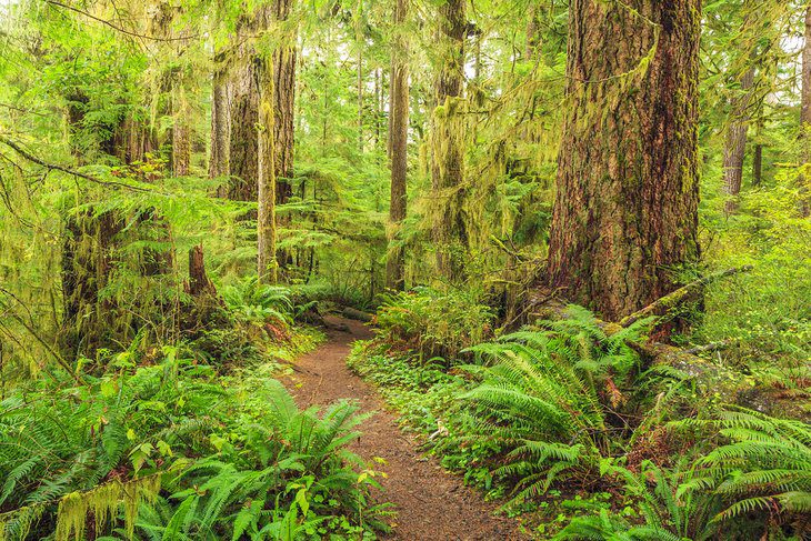 13 Top-Rated Hiking Trails in Washington State