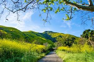 13 Top-Rated Hiking Trails near Sacramento, CA