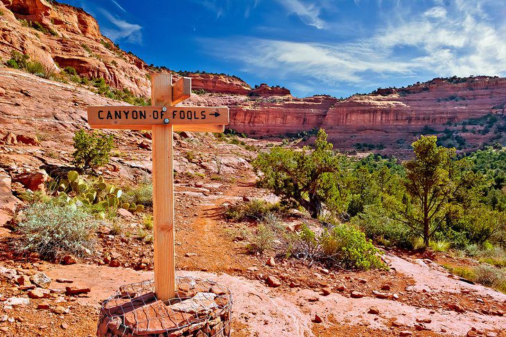 13 Top-Rated Mountain Biking Trails in Sedona