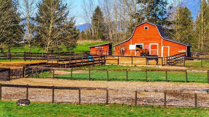 13 Top-Rated Things to Do in Langley, BC