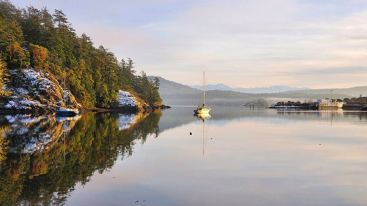 13 Top-Rated Things to Do in Sooke, BC