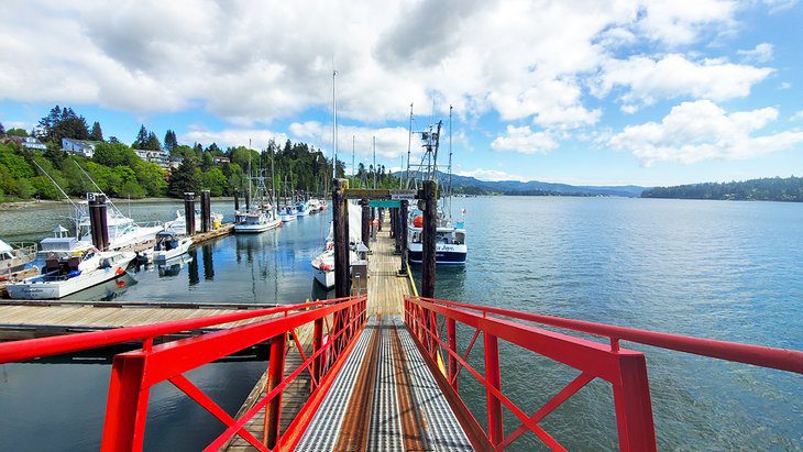 13 Top-Rated Things to Do in Sooke, BC