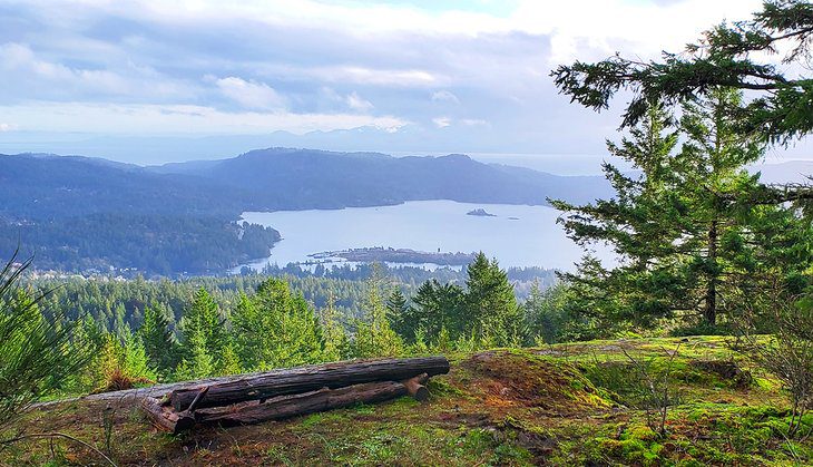 13 Top-Rated Things to Do in Sooke, BC