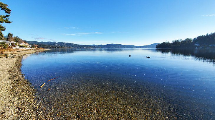 13 Top-Rated Things to Do in Sooke, BC