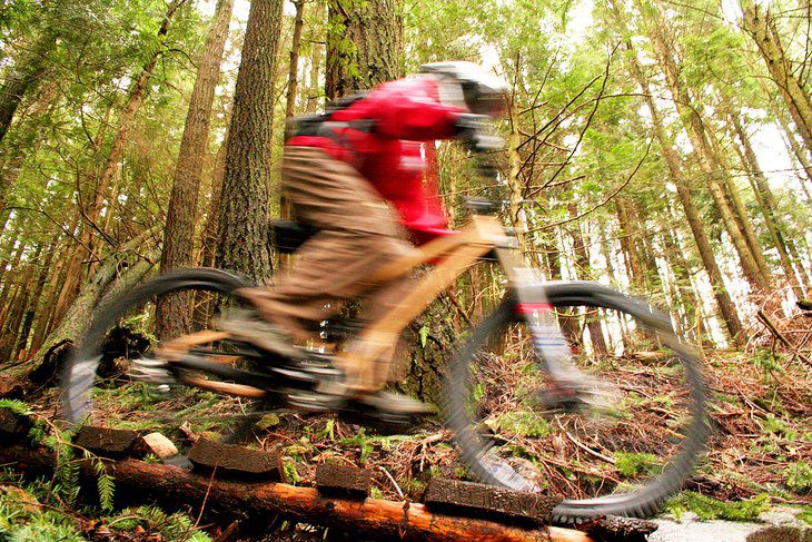 13 Top-Rated Things to Do in Sooke, BC