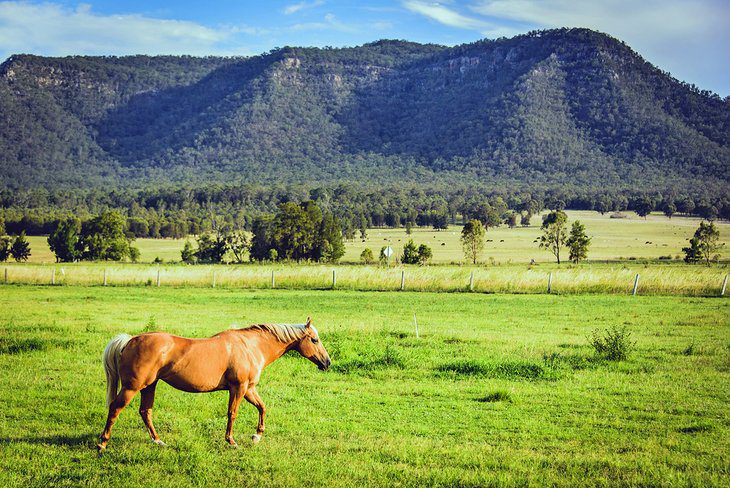 13 Top-Rated Things to Do in the Hunter Valley, Australia