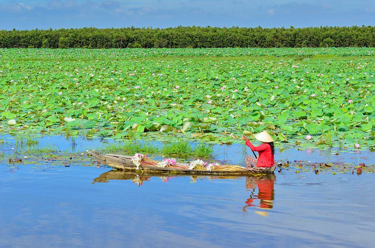 13 Top-Rated Tourist Attractions in Ho Chi Minh City