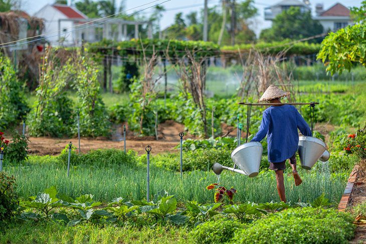 13 Top-Rated Tourist Attractions in Hoi An