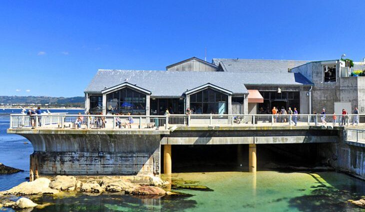 13 Top-Rated Tourist Attractions in Monterey