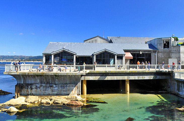 13 Top-Rated Tourist Attractions in Monterey